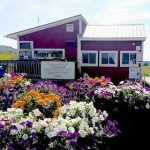 Scalehouse flowers