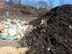 compost freshly dumped